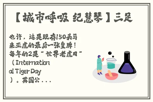 超碰欧美